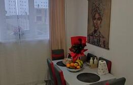 Casa moderna cu 3 camere, situata la intrare in comuna Nojorid