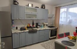 Casa moderna cu 3 camere, situata la intrare in comuna Nojorid