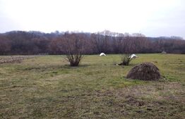 Teren de vanzare, 3000 mp,zons Uileacu de Munte