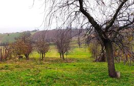 Casa de vanzare, 3 camere, 100 mp si teren 3000 mp, zona Cetariu