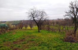 Casa de vanzare, 3 camere, 100 mp si teren 3000 mp, zona Cetariu