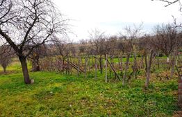 Casa de vanzare, 3 camere, 100 mp si teren 3000 mp, zona Cetariu