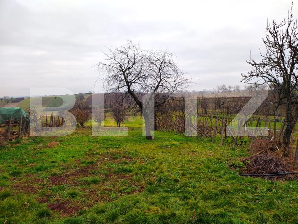 Casa de vânzare 3 camere Exterior Est - 163210CV | BLITZ Oradea | Poza12