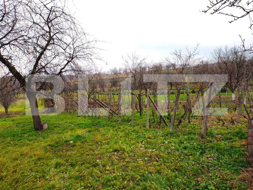 Casa de vânzare 3 camere Exterior Est - 163210CV | BLITZ Oradea | Poza10