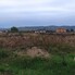 Teren de vânzare Exterior Est - 163213TV - Poza 1 din 4 | BLITZ Oradea | Poza1