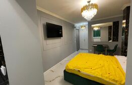 Garsoniera de vanzare, 21 mp, parter, Zona Decebal