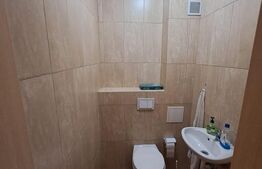 Apartament de vanzare, cu 3 camere, 55 mp, zona Nufărul