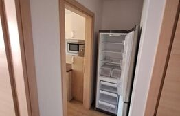 Apartament de vanzare, cu 3 camere, 55 mp, zona Nufărul