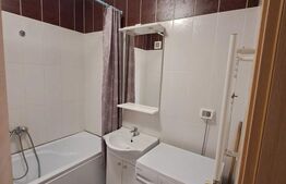 Apartament de vanzare, cu 3 camere, 55 mp, zona Nufărul