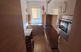 Apartament de vanzare, cu 3 camere, 55 mp, zona Nufărul
