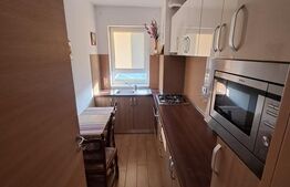 Apartament de vanzare, cu 3 camere, 55 mp, zona Nufărul