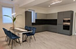 Casa de vanzare, cu 4 camere, 267 mp, zona Hanul Pescarilor