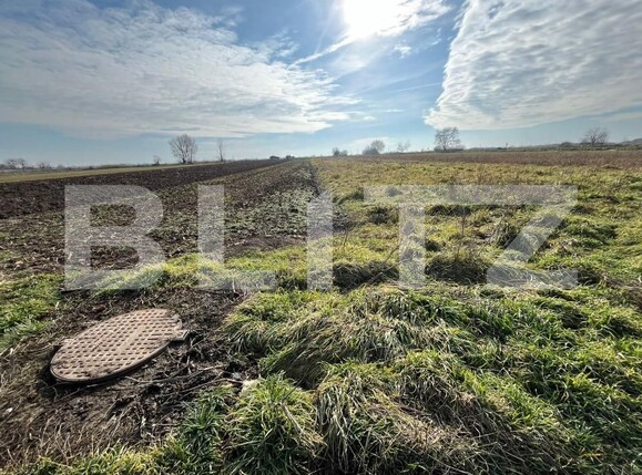 Teren de vânzare Bors - 164579TV | BLITZ Oradea | Poza7