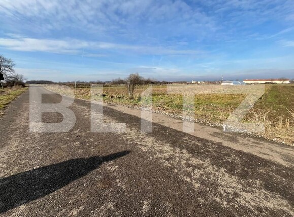 Teren de vânzare Bors - 164579TV | BLITZ Oradea | Poza2