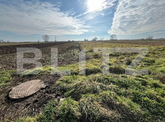 Teren de vânzare Bors - 164579TV | BLITZ Oradea | Poza5