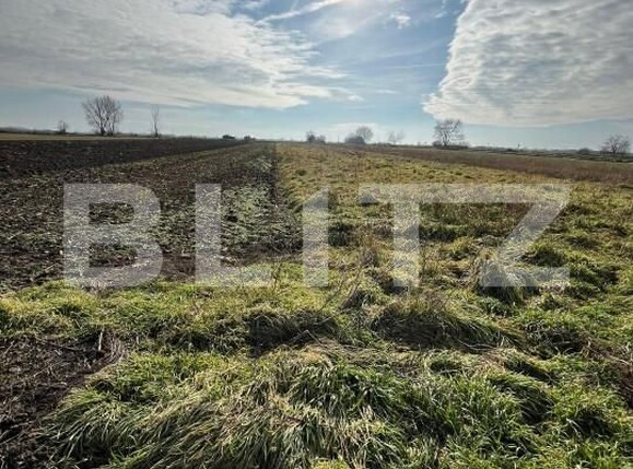 Teren de vânzare Bors - 164579TV | BLITZ Oradea | Poza3