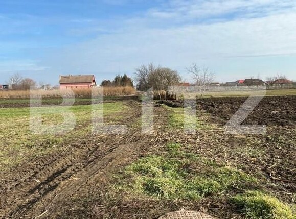 Teren de vânzare Bors - 164579TV | BLITZ Oradea | Poza6