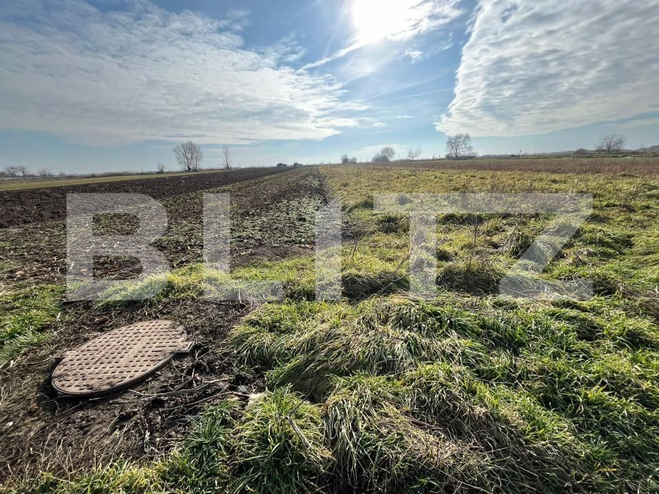 Teren de vânzare Bors - 164579TV | BLITZ Oradea | Poza7