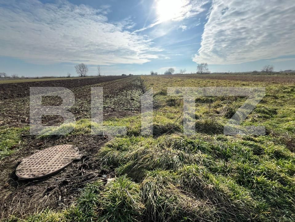 Teren de vânzare Bors - 164579TV | BLITZ Oradea | Poza5