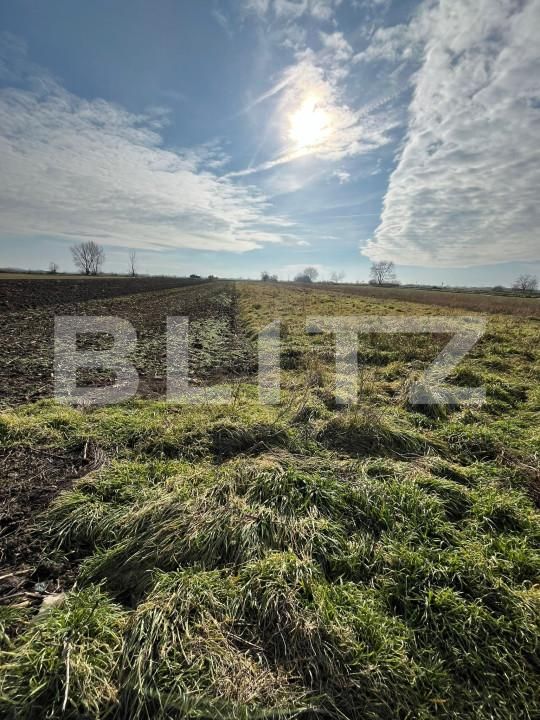 Teren de vânzare Bors - 164579TV | BLITZ Oradea | Poza3