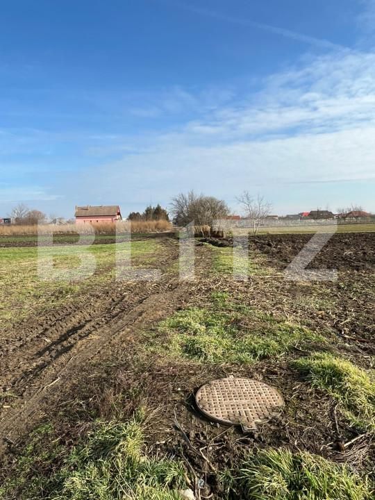 Teren de vânzare Bors - 164579TV | BLITZ Oradea | Poza6