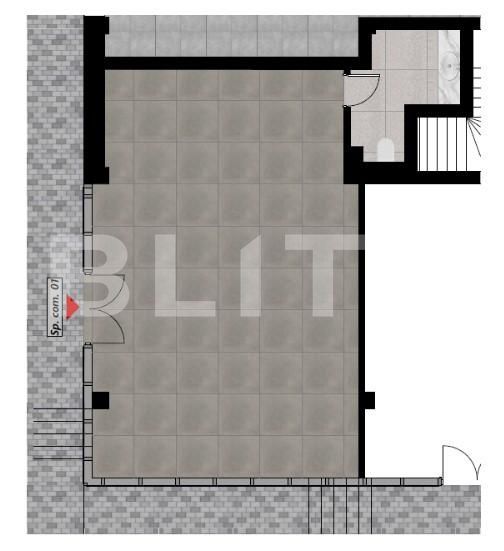 Spațiu comercial de vânzare Dacia - 164809SVC | BLITZ Oradea | Poza1