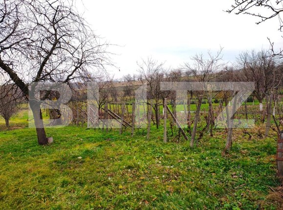 Teren de vânzare Sud-Est - 164818TV | BLITZ Oradea | Poza3