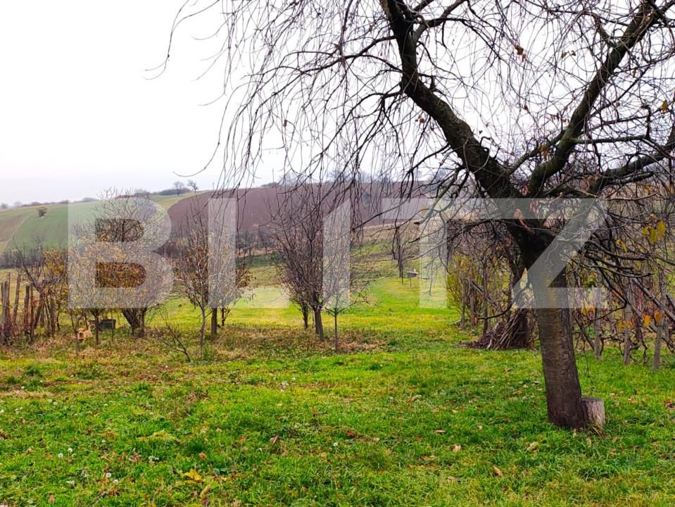 Teren de vânzare Sud-Est - 164818TV | BLITZ Oradea | Poza2