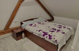 Apartament de inchiriat, 2 camere, 70 mp, zona-ultracentrala