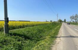 Teren intravilan de vanzare, 20.000 mp, zona-Sântandrei\Palota 