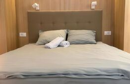 Apartament de inchiriat, 2 camere, 55 mp, Ultracentral