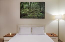 Apartament de inchiriat, 2 camere, 57 mp, zona-Decebal