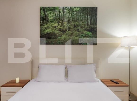 Apartament de închiriat 2 camere Decebal - 165349AI | BLITZ Oradea | Poza4