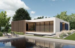 Ai visat la casă, dar credeai că nu e posibil?