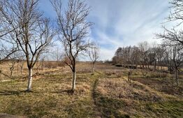 Casa de vanzare, cu 2 camere, 65 mp, Oradea