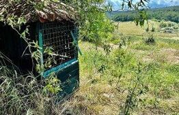 Teren intravilan cu potențial turistic în zona Lacului Paleu, oportunitate