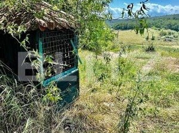 Teren de vânzare Paleu - 165814TV | BLITZ Oradea | Poza2