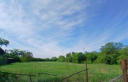 Teren intravilan, Coriolan Hora, 8500mp, perfect pentru investitie, constructie 