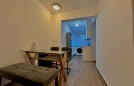 Apartament de inchiriat, 2 camere, 45 mp, zona ultracentrala