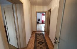 Doua case de vanzare, 263 mp, teren 800 mp, zona Iosia, in exclusivitate