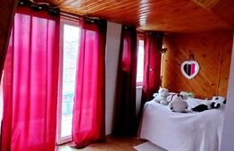 Doua case de vanzare, 263 mp, teren 800 mp, zona Iosia, in exclusivitate