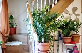 Doua case de vanzare, 263 mp, teren 800 mp, zona Iosia, in exclusivitate