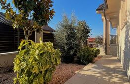 Casă plan parter, 4 camere, 169 mp utili, teren 500 mp, zona Oncea