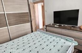 Apartament de vanzare, cu 2 camere, 55 mp, zona Bulevardul Dacia