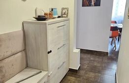 Apartament de vanzare, cu 2 camere, 55 mp, zona Bulevardul Dacia