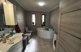 Casa primitoare si cocheta in Sanmartin