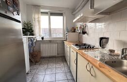 Apartament cu 2 camere, 49 mp, renovat și cochet, zona Rogerius