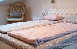 Investitie unica-cladire cu 6 camere, 121 mp, Oradea