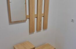 Garsoniera de inchiriat, 31 mp, zona Str. Aluminei