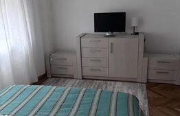 Apartament cu 3 camere, zona Nufarul